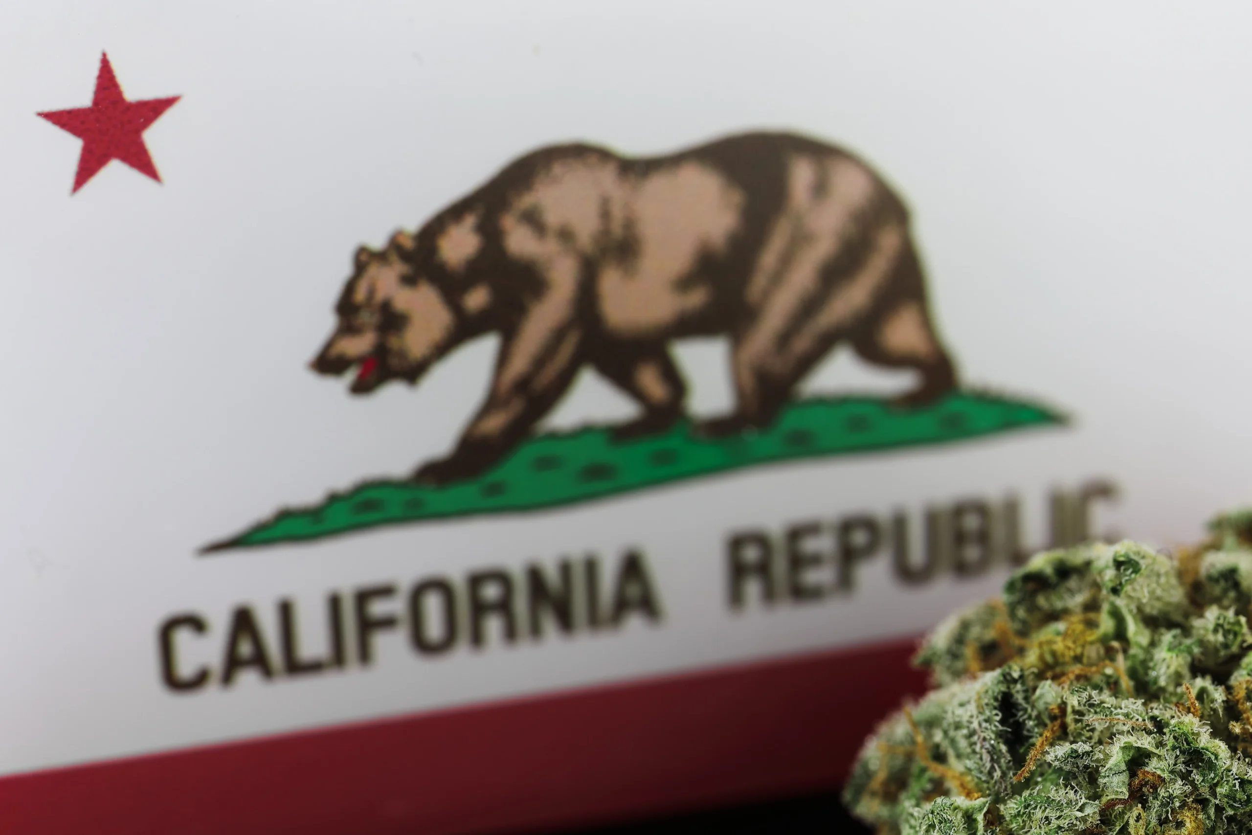 California flag with a Bear and a cannabis plant