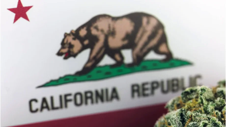 California flag with a Bear and a cannabis plant