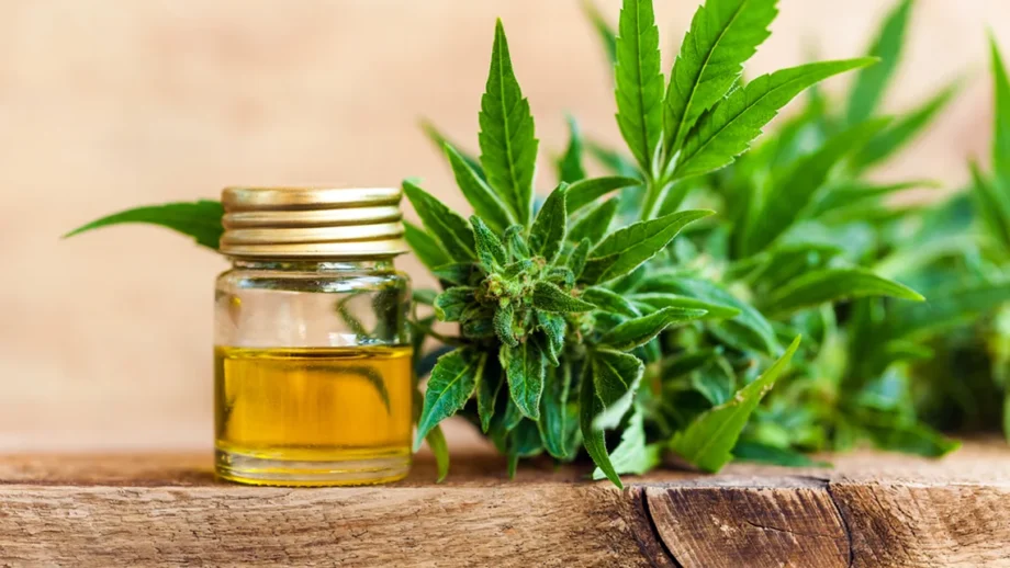 What is CBD