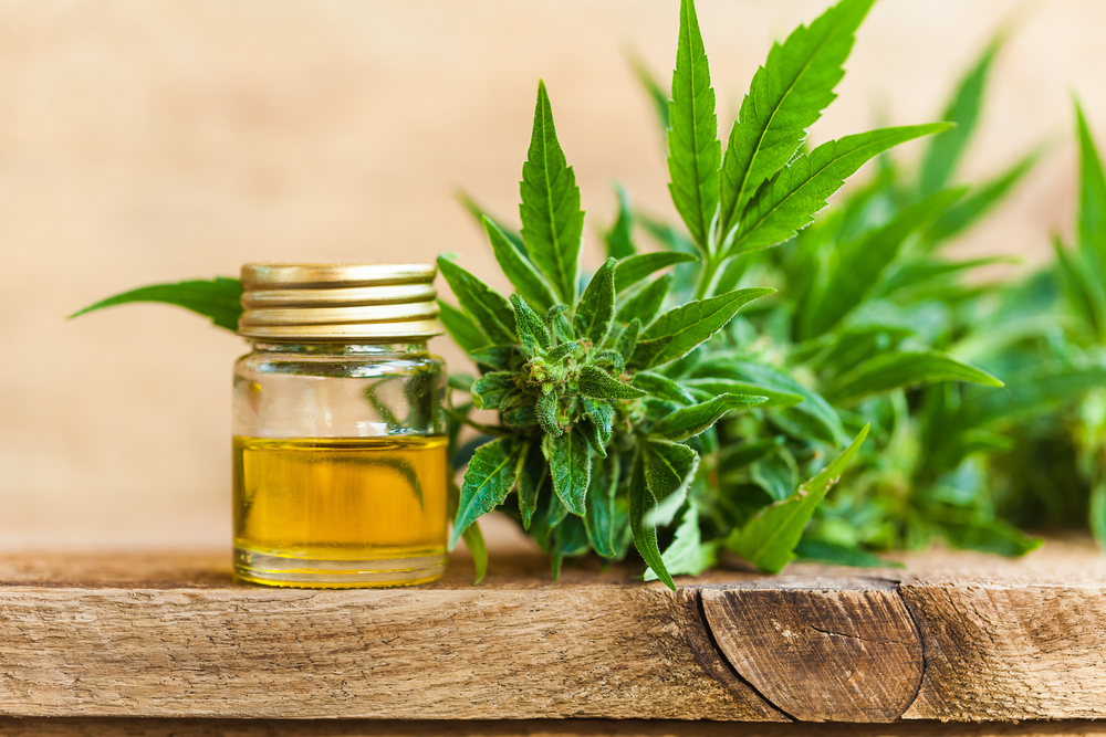 What is CBD? How It Works and Who Should Take It.