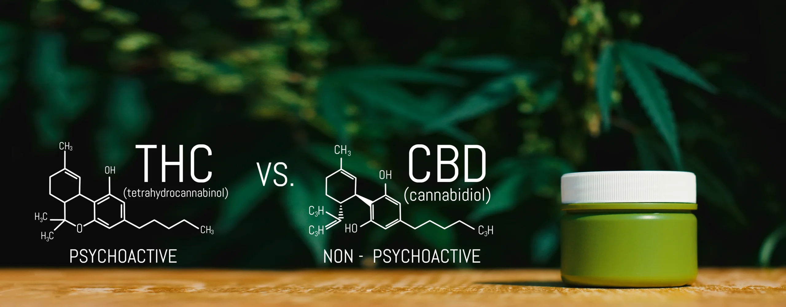 CBD Drinks vs THC Drinks